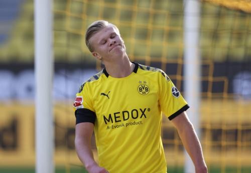 界杯冠军的 界杯冠军的